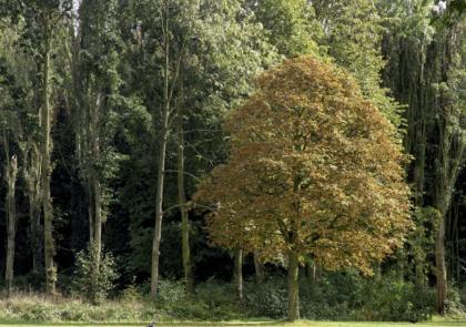 groencafe nationale klimaatweek